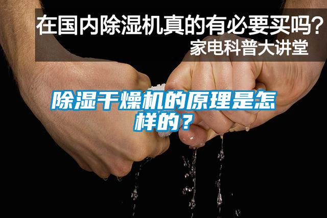 除濕干燥機的原理是怎樣的？