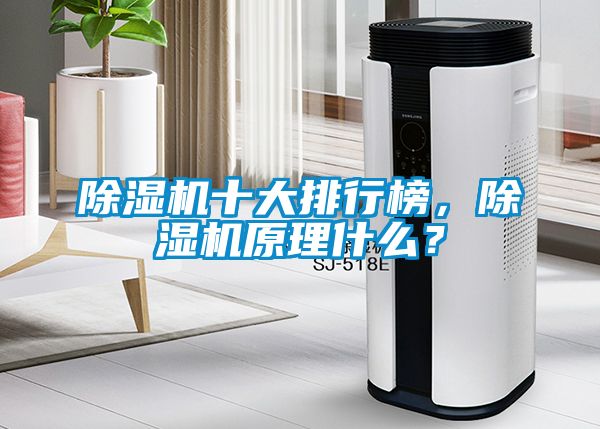除濕機十大排行榜，除濕機原理什么？