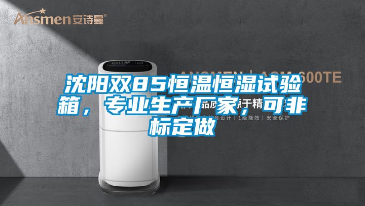 沈陽雙85恒溫恒濕試驗箱，專業生產廠家，可非標定做