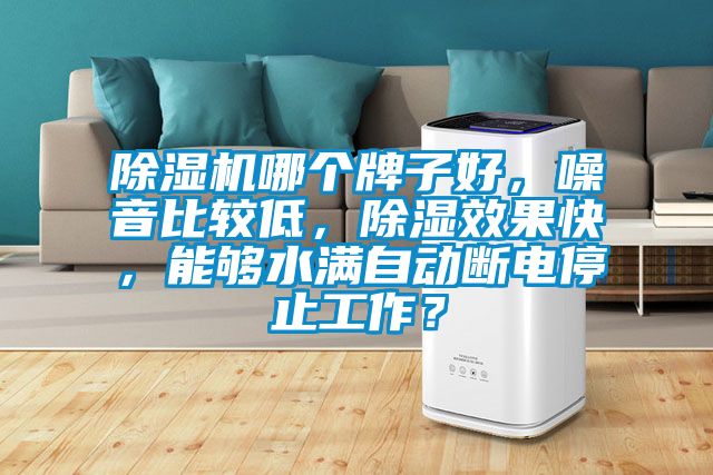 除濕機哪個牌子好，噪音比較低，除濕效果快，能夠水滿自動斷電停止工作？