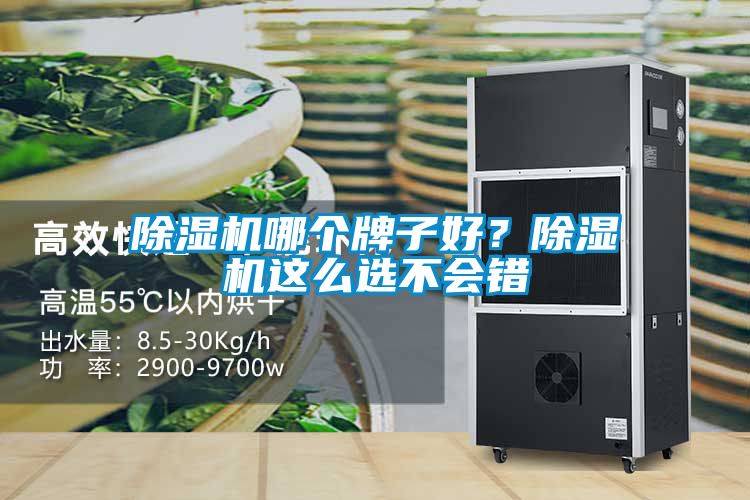 除濕機哪個牌子好？除濕機這么選不會錯