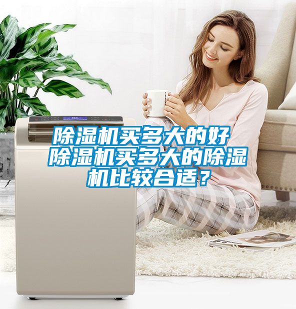 除濕機買多大的好 除濕機買多大的除濕機比較合適？