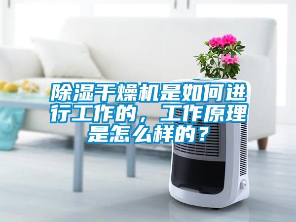 除濕干燥機是如何進行工作的，工作原理是怎么樣的？
