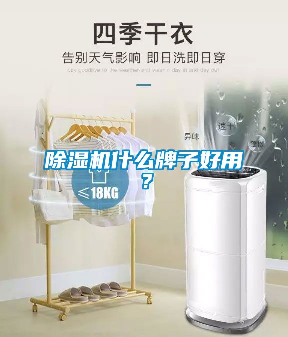 除濕機什么牌子好用？