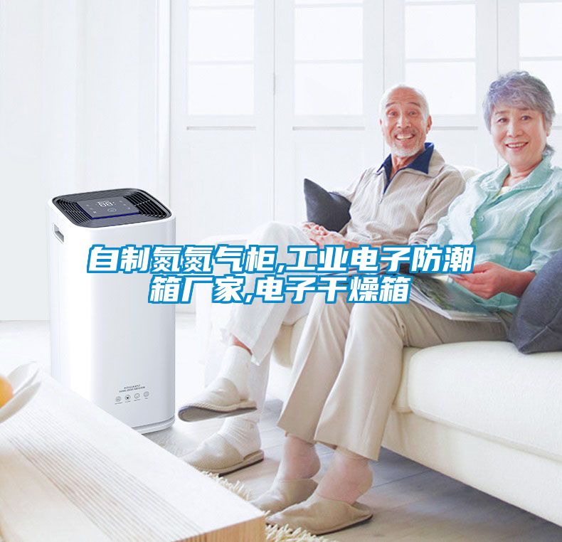 自制氮氮氣柜,工業電子防潮箱廠家,電子干燥箱