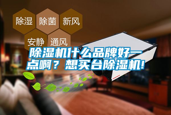 除濕機什么品牌好一點??？想買臺除濕機!