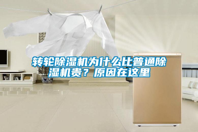 轉輪除濕機為什么比普通除濕機貴？原因在這里