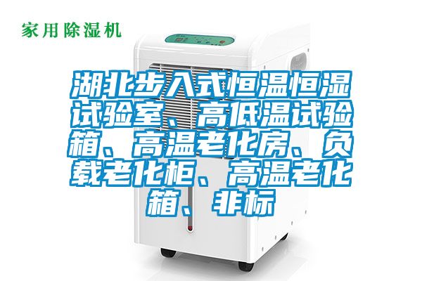 湖北步入式恒溫恒濕試驗室、高低溫試驗箱、高溫老化房、負載老化柜、高溫老化箱、非標