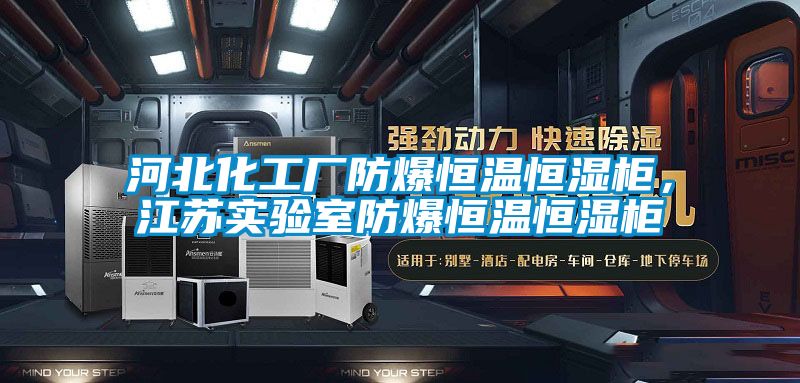 河北化工廠防爆恒溫恒濕柜，江蘇實驗室防爆恒溫恒濕柜