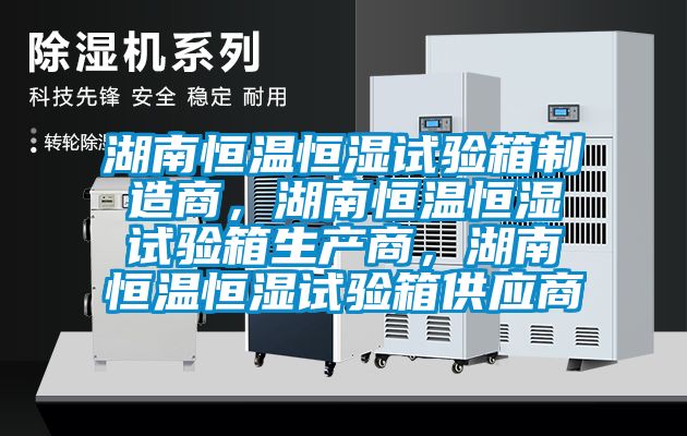 湖南恒溫恒濕試驗箱制造商，湖南恒溫恒濕試驗箱生產商，湖南恒溫恒濕試驗箱供應商