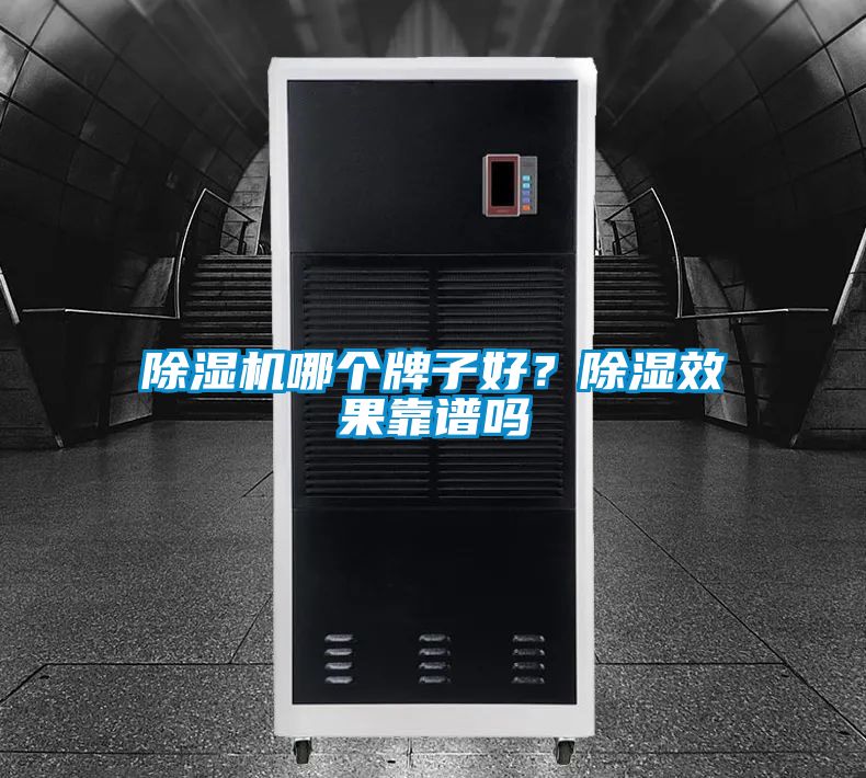 除濕機哪個牌子好？除濕效果靠譜嗎