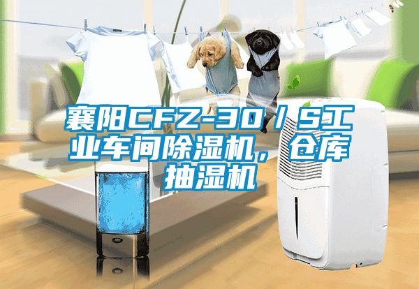 襄陽CFZ-30／S工業車間除濕機，倉庫抽濕機