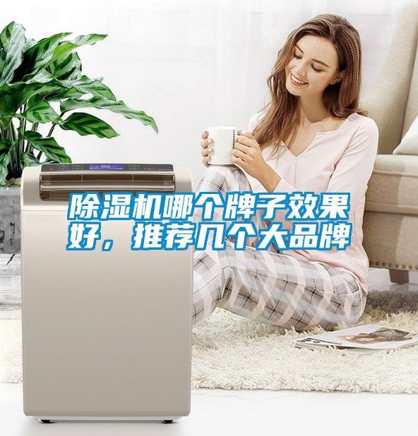 除濕機哪個牌子效果好，推薦幾個大品牌