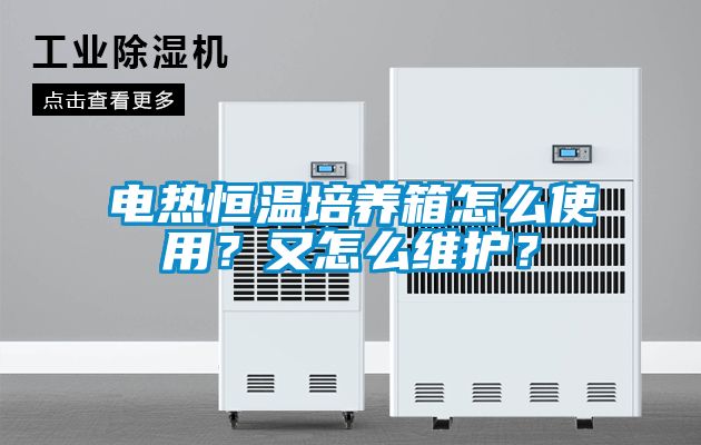 電熱恒溫培養箱怎么使用？又怎么維護？