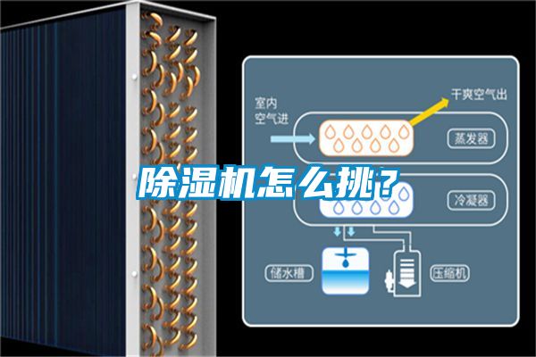 除濕機怎么挑？