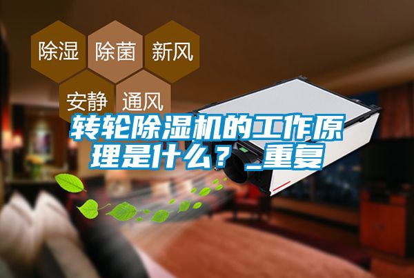 轉輪除濕機的工作原理是什么？_重復