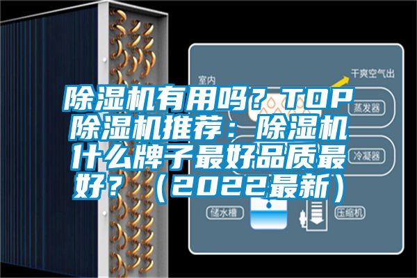 除濕機有用嗎？TOP除濕機推薦：除濕機什么牌子最好品質最好？（2022最新）