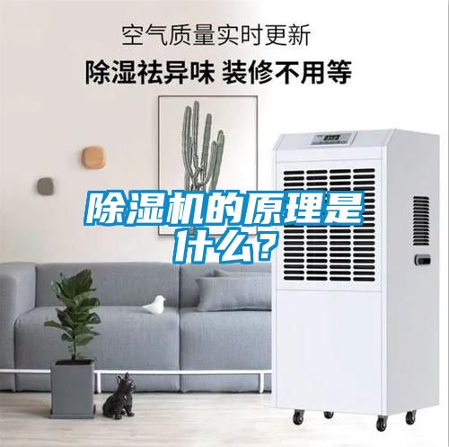 除濕機的原理是什么？
