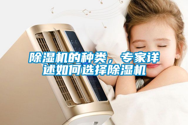 除濕機的種類，專家詳述如何選擇除濕機