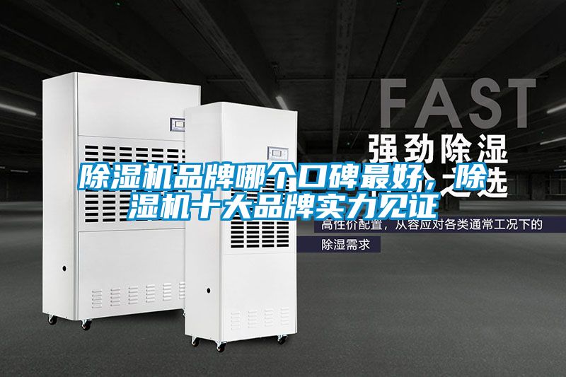 除濕機品牌哪個口碑最好，除濕機十大品牌實力見證