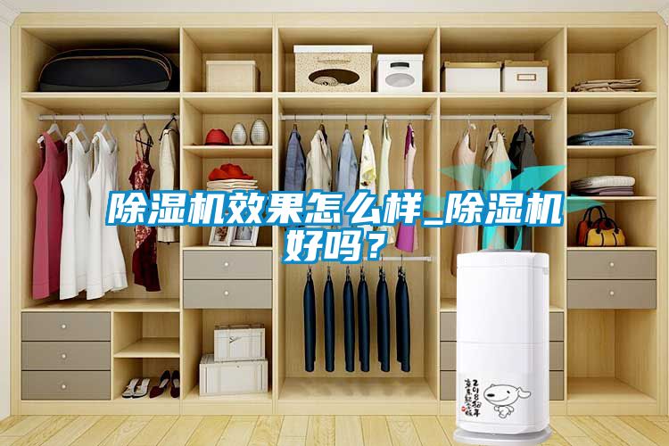 除濕機效果怎么樣_除濕機好嗎？