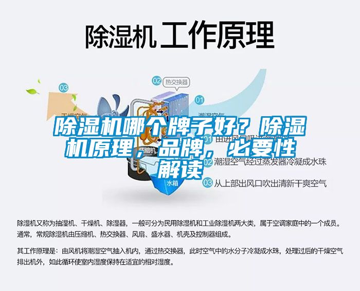 除濕機哪個牌子好？除濕機原理，品牌，必要性解讀