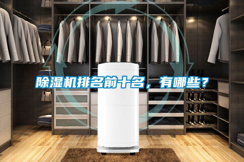 除濕機排名前十名，有哪些？