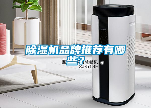 除濕機品牌推薦有哪些？