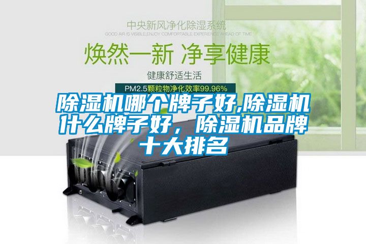 除濕機哪個牌子好,除濕機什么牌子好，除濕機品牌十大排名