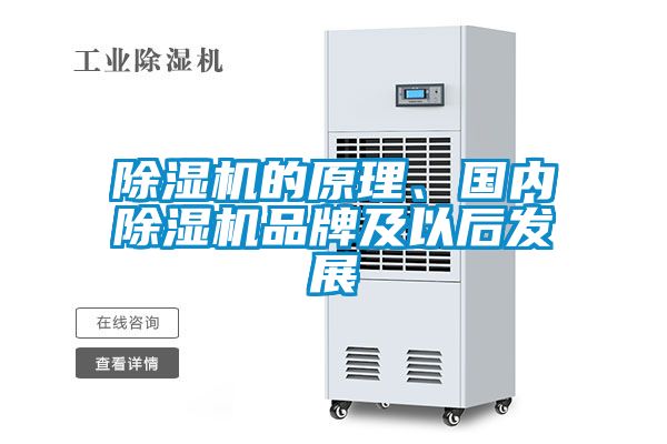 除濕機的原理、國內除濕機品牌及以后發展