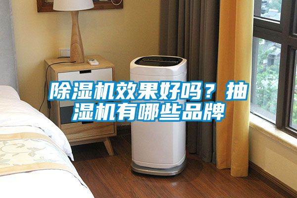 除濕機效果好嗎？抽濕機有哪些品牌