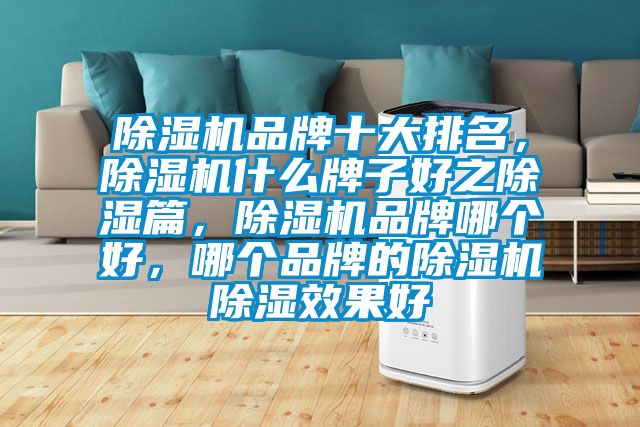 除濕機品牌十大排名，除濕機什么牌子好之除濕篇，除濕機品牌哪個好，哪個品牌的除濕機除濕效果好