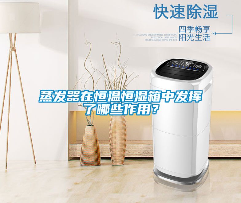 蒸發器在恒溫恒濕箱中發揮了哪些作用？