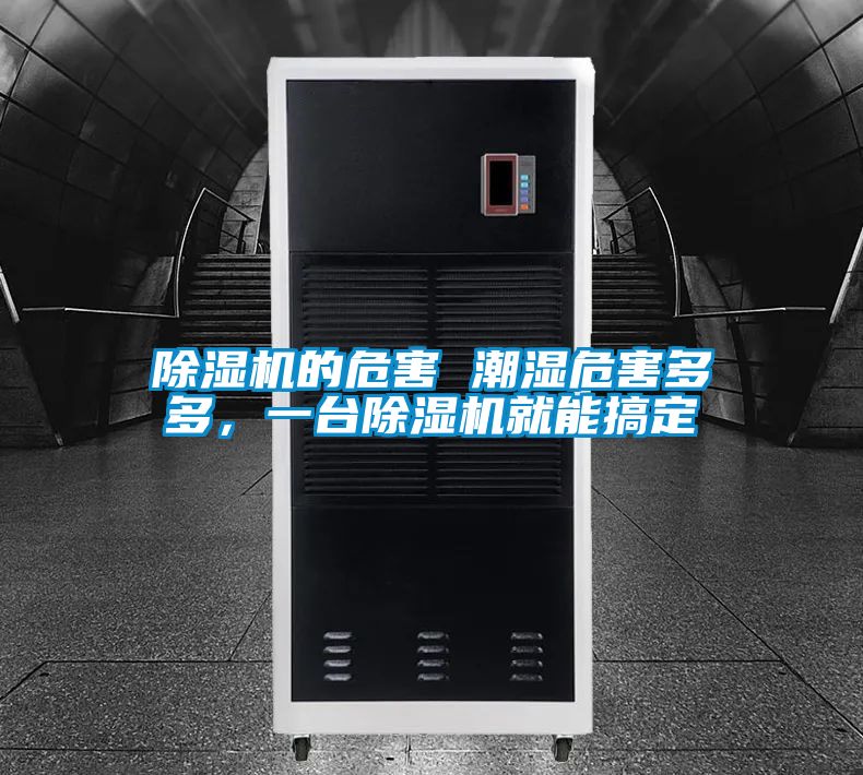 除濕機的危害 潮濕危害多多，一臺除濕機就能搞定