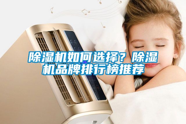 除濕機如何選擇？除濕機品牌排行榜推薦