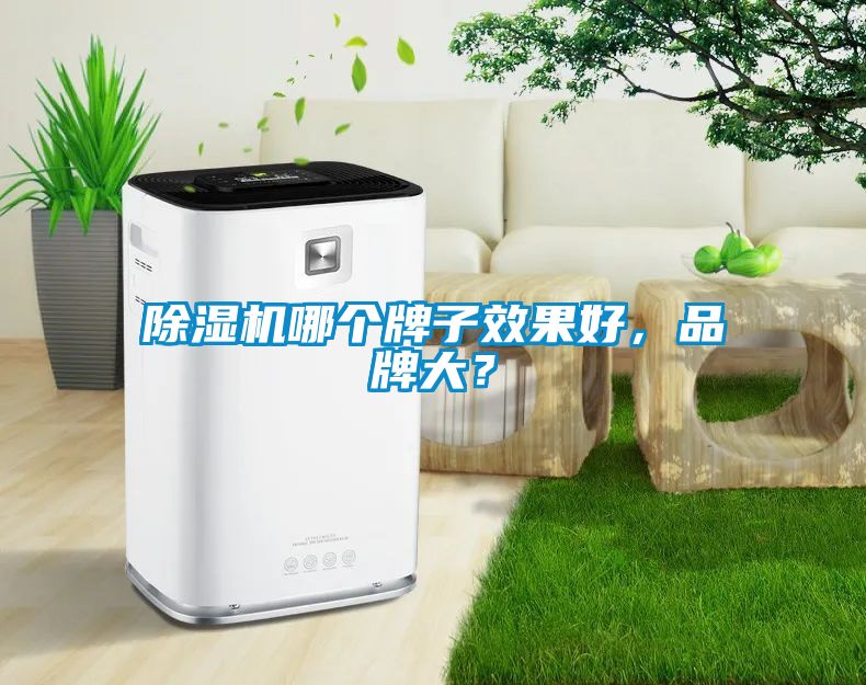 除濕機哪個牌子效果好，品牌大？
