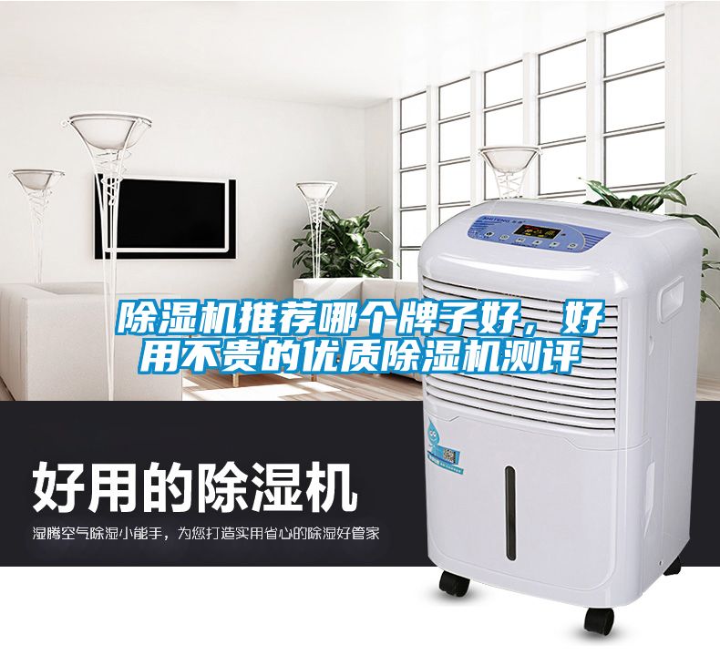 除濕機推薦哪個牌子好，好用不貴的優質除濕機測評
