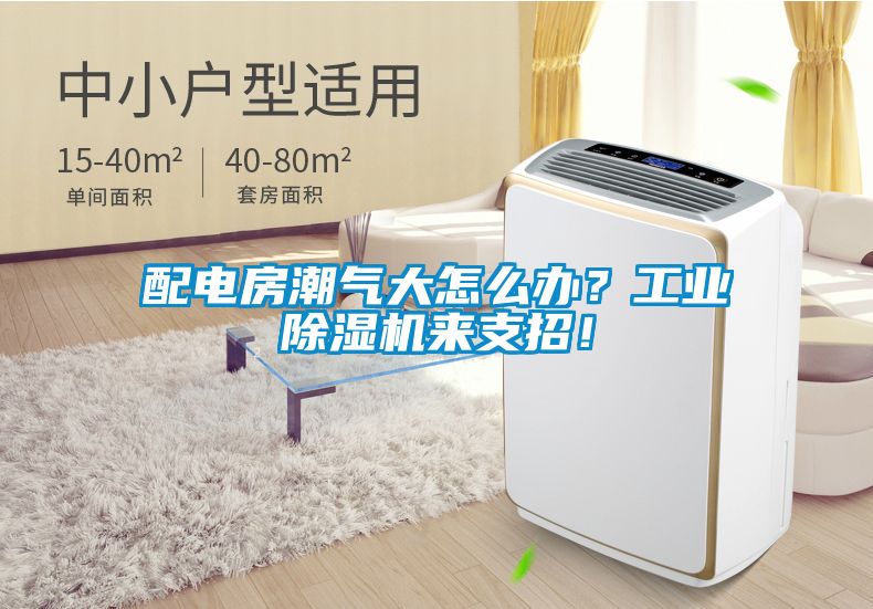配電房潮氣大怎么辦？工業除濕機來支招！