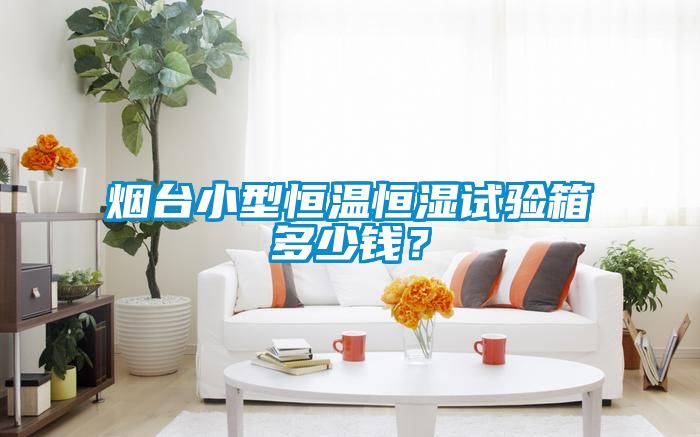 煙臺小型恒溫恒濕試驗箱多少錢？