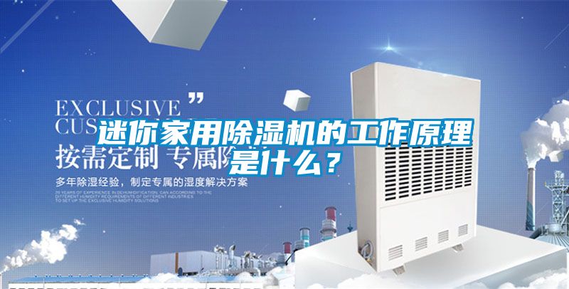 迷你家用除濕機的工作原理是什么？