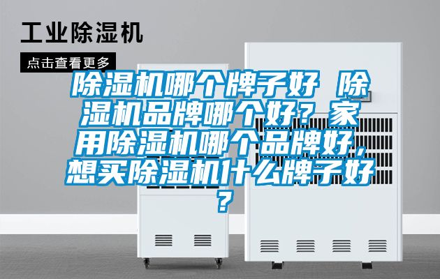除濕機哪個牌子好 除濕機品牌哪個好？家用除濕機哪個品牌好，想買除濕機什么牌子好？