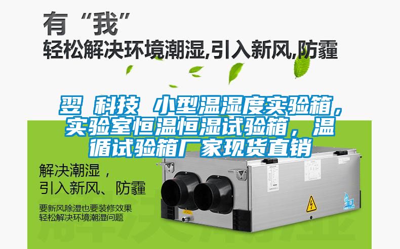 翌昇科技 小型溫濕度實驗箱，實驗室恒溫恒濕試驗箱，溫循試驗箱廠家現貨直銷