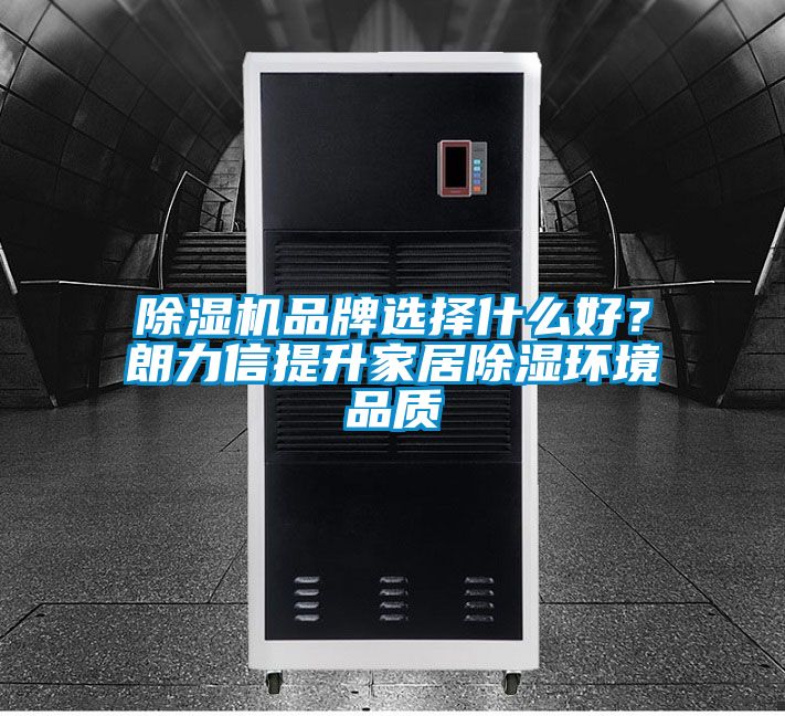 除濕機品牌選擇什么好？朗力信提升家居除濕環境品質