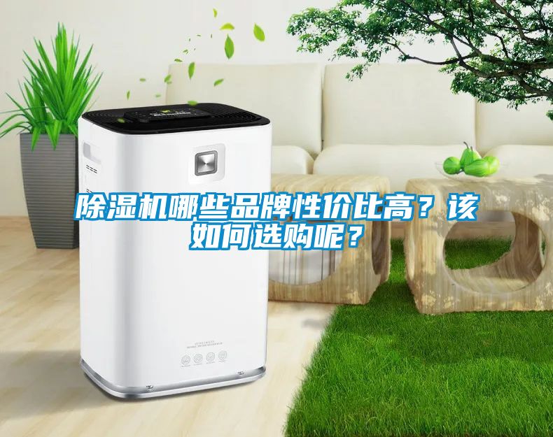 除濕機哪些品牌性價比高？該如何選購呢？