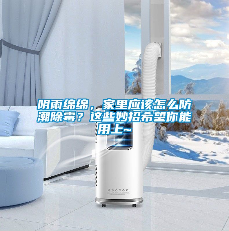 陰雨綿綿，家里應該怎么防潮除霉？這些妙招希望你能用上~