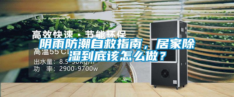 陰雨防潮自救指南，居家除濕到底該怎么做？