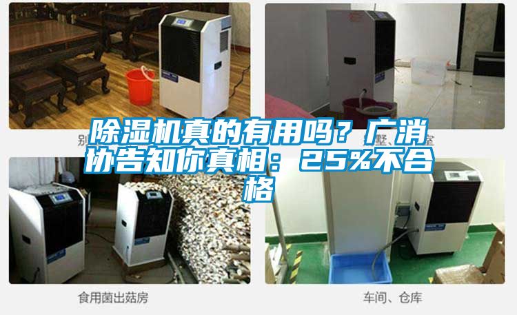 除濕機真的有用嗎？廣消協告知你真相：25%不合格