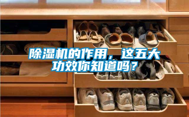 除濕機的作用，這五大功效你知道嗎？