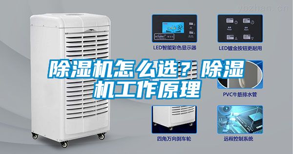 除濕機怎么選？除濕機工作原理
