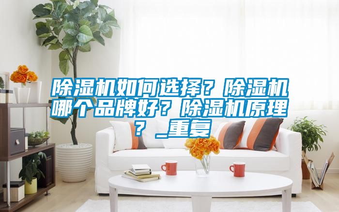 除濕機如何選擇？除濕機哪個品牌好？除濕機原理？_重復